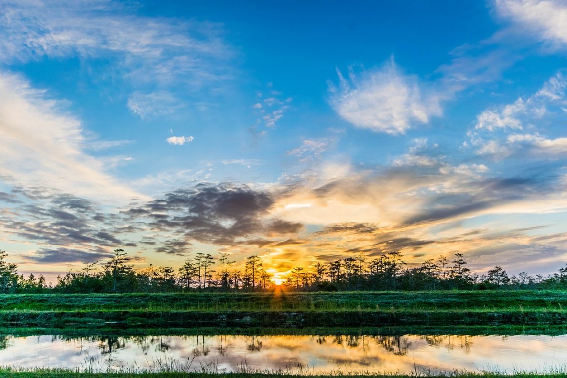 Everglades National Park, Florida, USA